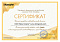 Сертификат на товар Пластиковые качели-диск Kampfer Лиана 53654 желтый